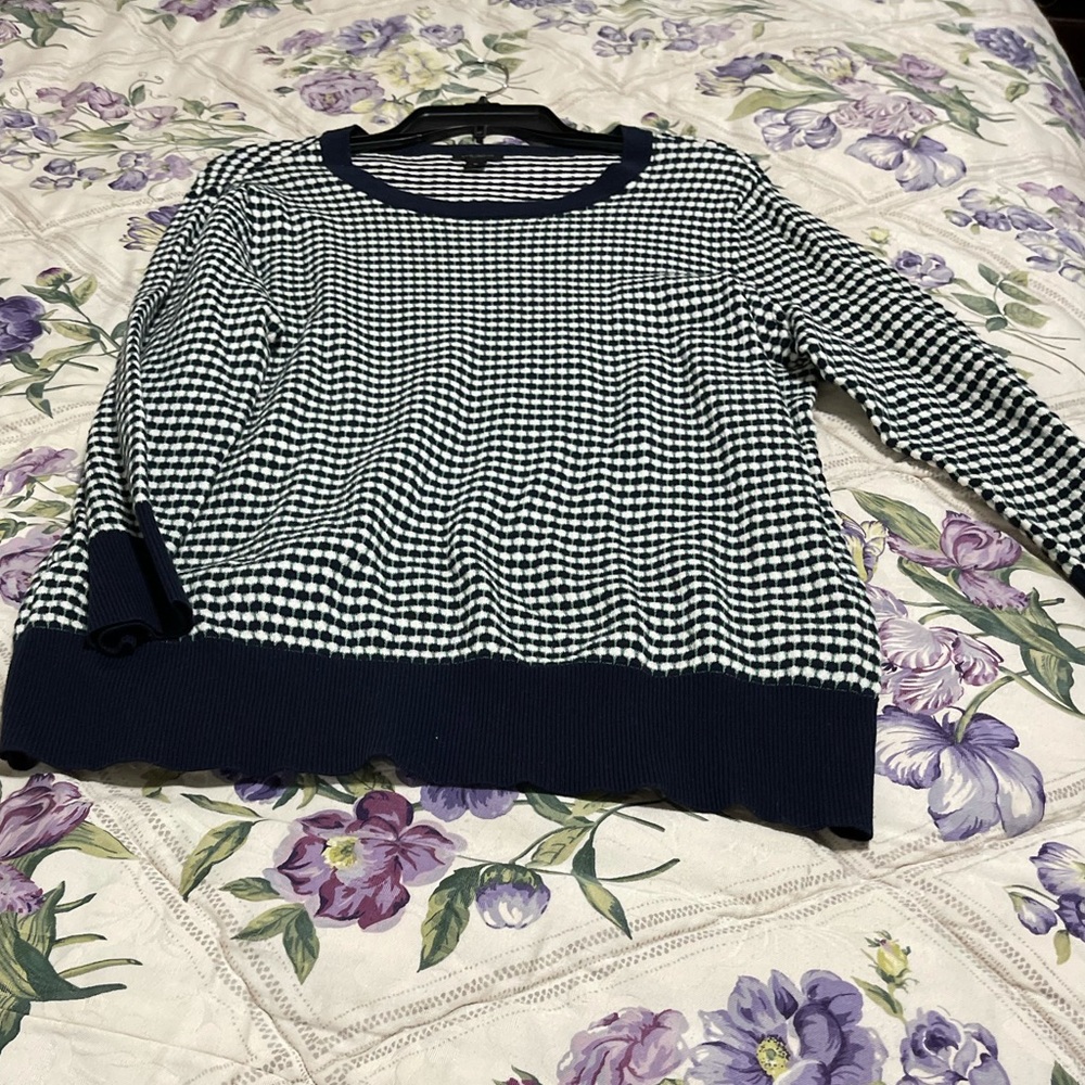 Ann Taylor Sweater